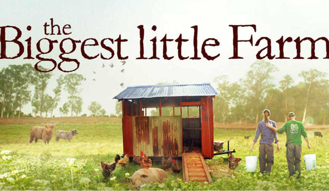 The Struggle (to Live Sustainably) is Real, in ‘The Biggest Little Farm’