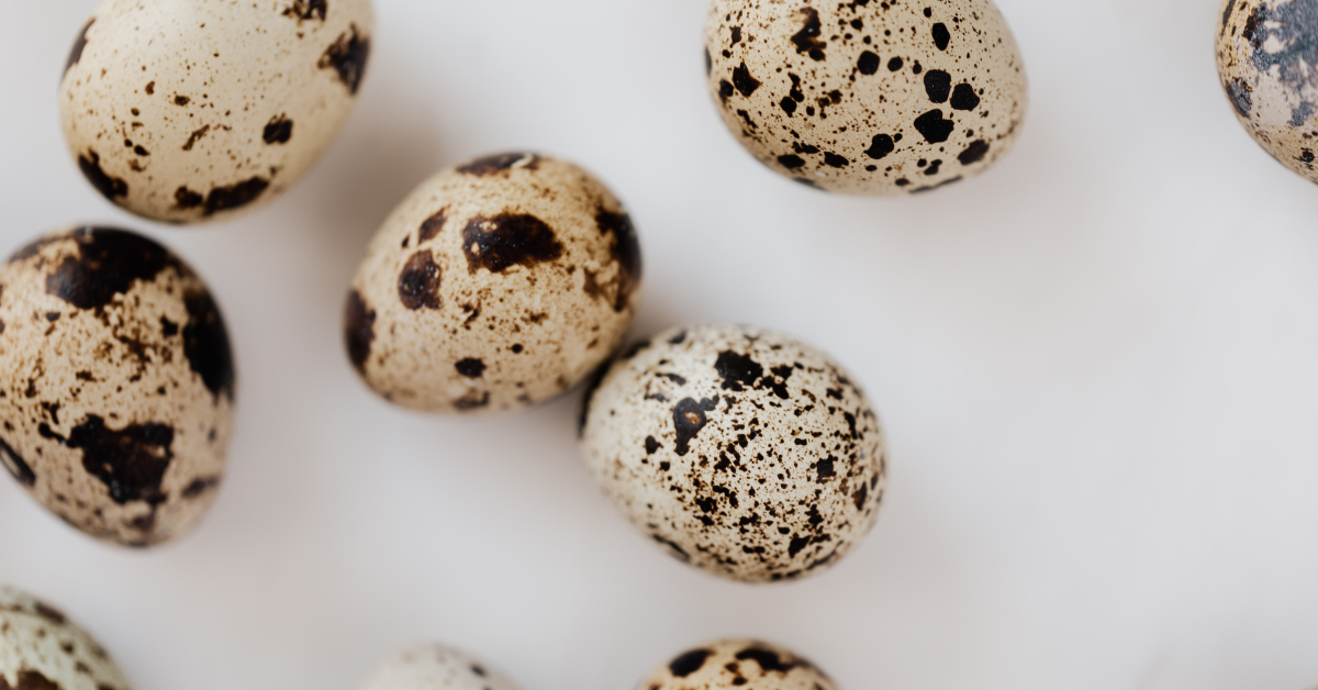 When Life is Like an Egg… and When it Isn’t